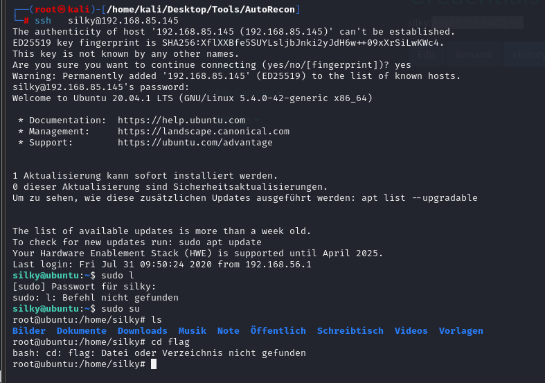 image-20240224221412482